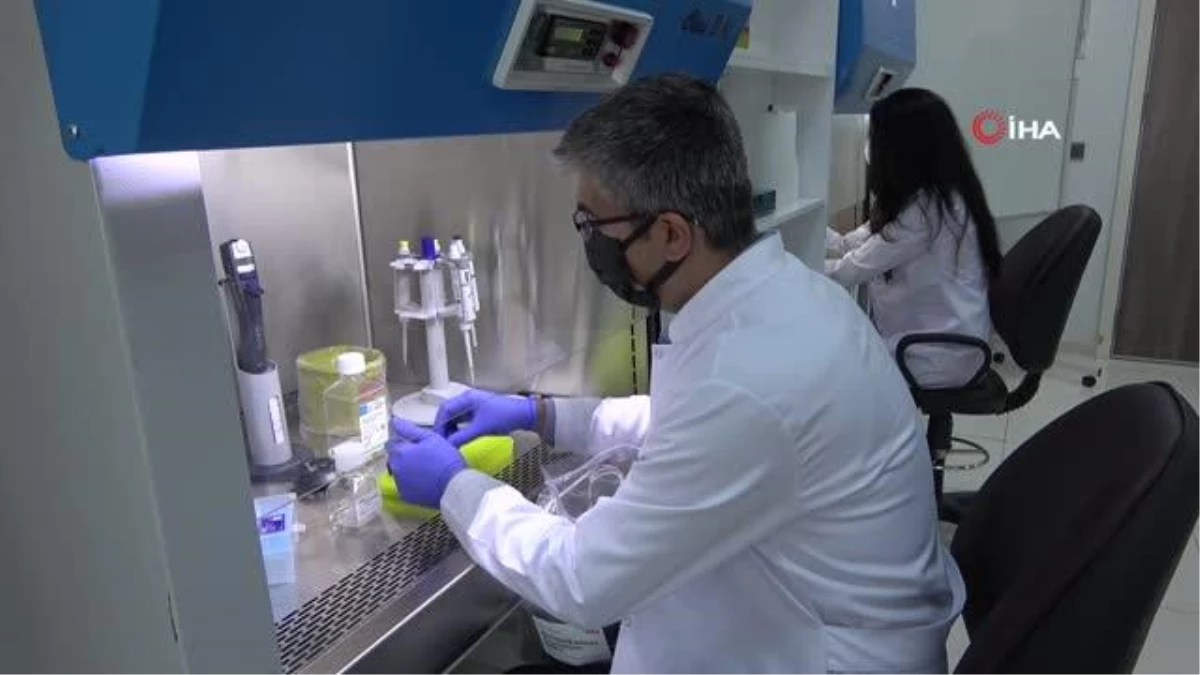 Τα διαγνωστικά κιτ Covit19 PCR που παράγονται στη Sivas χρησιμοποιούνται στην Ευρώπη και την Αφρική.
