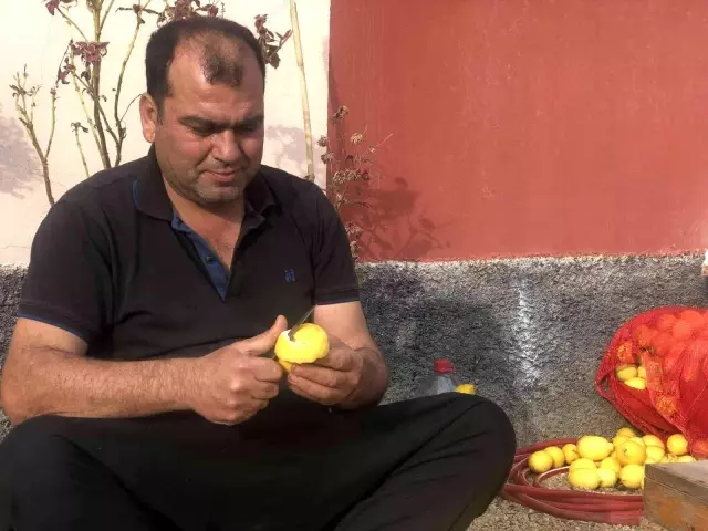 Limonun kabuğu kendinden değerli! Kilosunu 7 liradan satıyorlar Limonun kabuğu kendinden değerli! Kilosunu 7 liradan satıyorlar