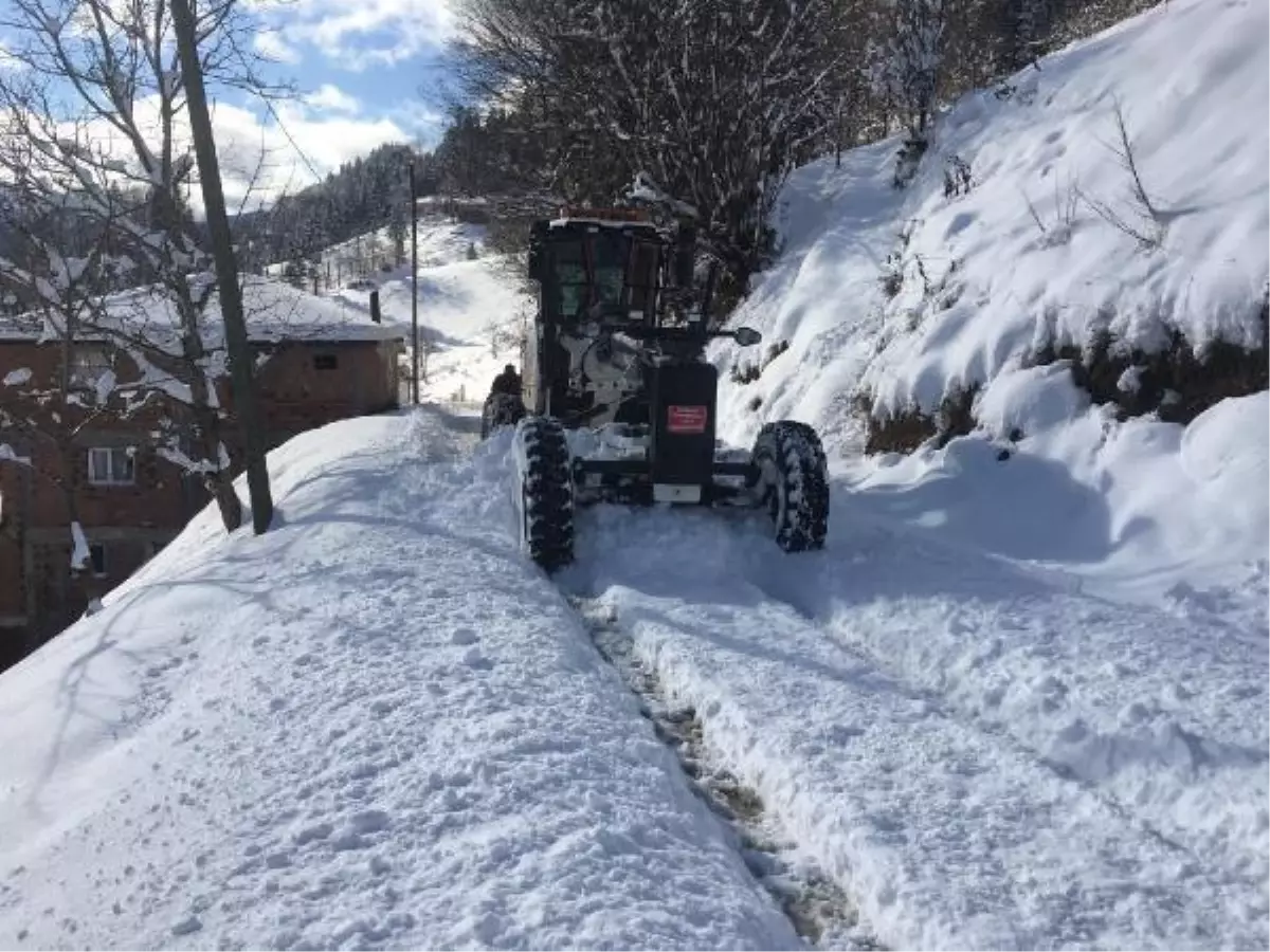 Doğu Karadeniz'de 219 köy yolu kardan kapandı; 5 ilçe ve 1 kentte okullar tatil