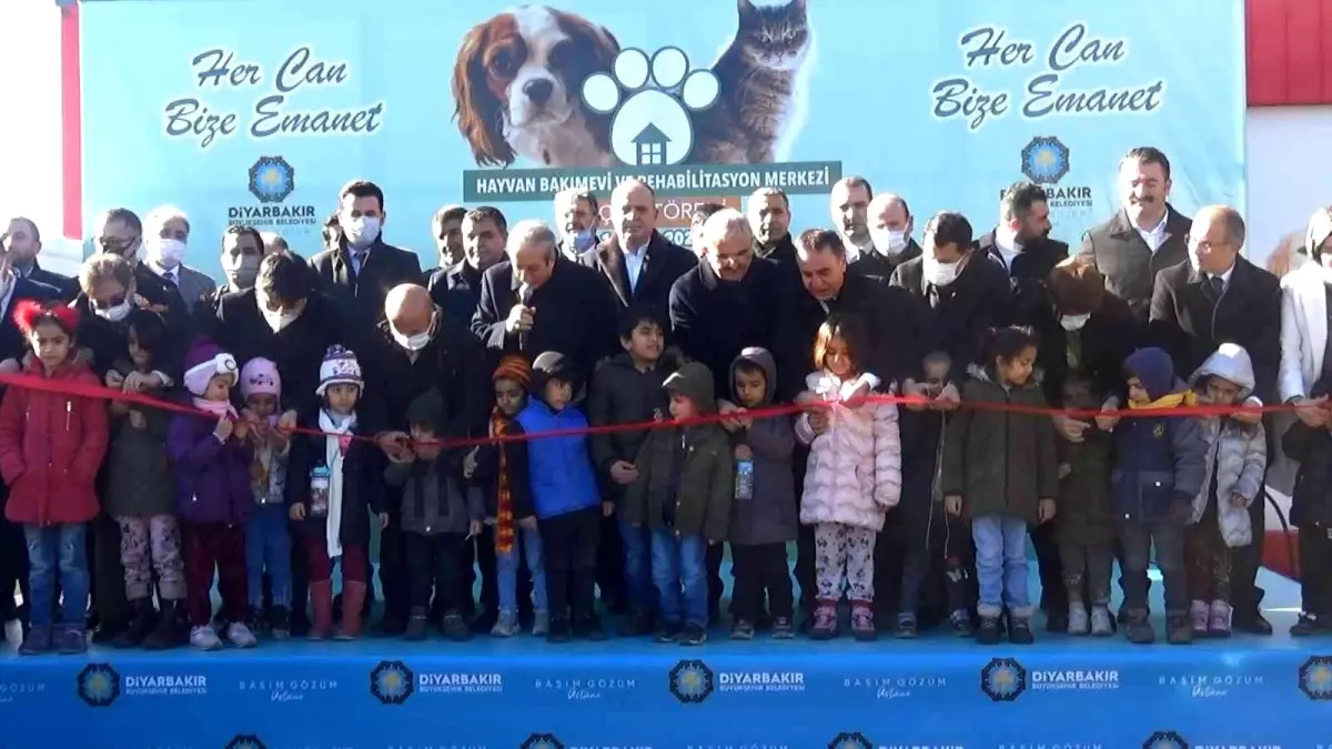 Diyarbakır ve çevresinde bulunan sokak hayvanları için 5 yıldızlı yuva açıldı