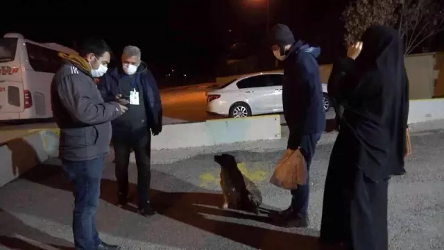 Virüslü karı-koca otobüste yakalandı: 'Yanlış yaptığımı biliyorum' Virüslü karı-koca otobüste yakalandı: 'Yanlış yaptığımı biliyorum'