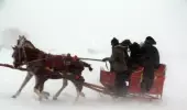 CHP'li belediye başkanları, buz tutan Çıldır Gölü'nde Eskimo usulü balık tutarken tipiye tutuldu