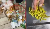 Çöpteki biberleri ve etleri müşteriye servis eden tantunici artık sinek avlıyor! Kadıköylüler 'işyerini kapatın' çağrısı yaptı