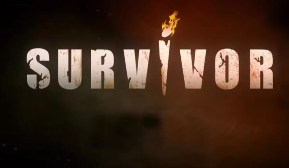 Tv8 survivor