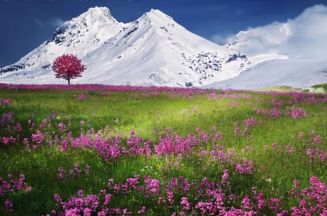 En güzel kar resimleri! 2022 kar manzaraları ve kar fotoğrafları!