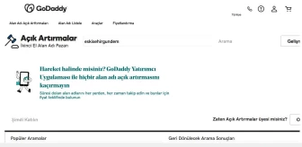 Godaddy'in gasp ettiği internet alan adlarını açık artırmayla satışa çıkardığı iddia edildi