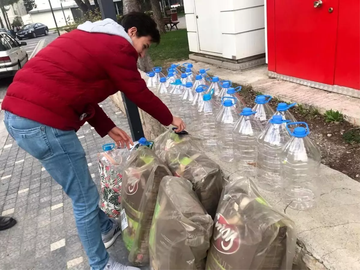 Balıkesir'de yüksekokul öğrencileri sokak hayvanları için gönüllü oldu