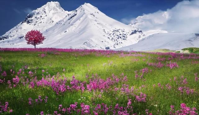 Kış mevsimiyle ilgili güzel sözler nelerdir? En güzel kış mevsimi sözleri nelerdir? Kış mevsimiyle ilgili güzel sözler nelerdir? En güzel kış mevsimi sözleri nelerdir?