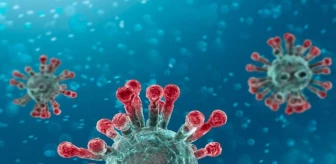 'Korona virüs yayılmaya devam ettiği sürece yeni varyant ve mutasyonlar göreceğiz'