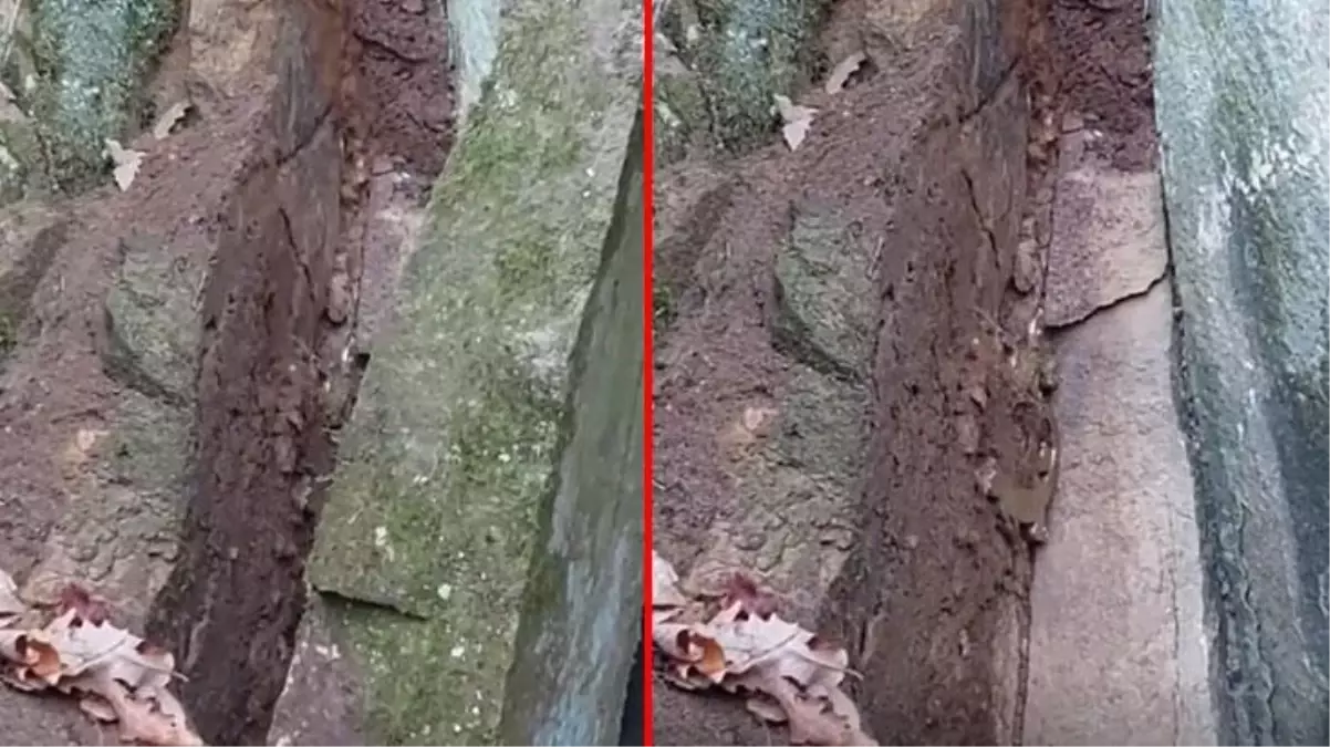 Topraktaki kaya parçasını kaldıran defineci, altın işlemeli yılan figürü buldu