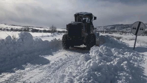 Diyarbakır'da 703 kırsal mahalle yolu kardan kapandı (2)