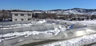 KAHRAMANMARAŞ - Kar nedeniyle seralar zarar gördü