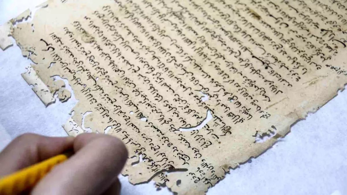 Türkiye'nin ilk ve tek kitap şifahanesi