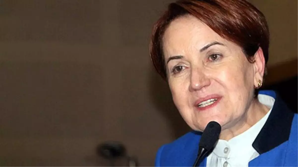 Meral Akşener, 5 yıl önce kaybettiği ağabeyi Nihat Gürer'le fotoğrafını paylaştı