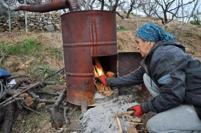 Kilosu 500 liradan satılan erikleri örtü altında böyle koruyorlar