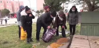 Bandırma Kent Konseyi sokak hayvanlarını unutmadı