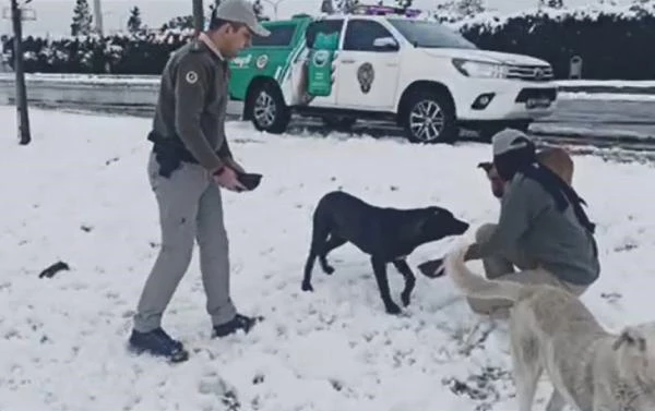 Kar yağışı nedeniyle yiyecek bulamayan sokak hayvanları için polis mama bıraktı
