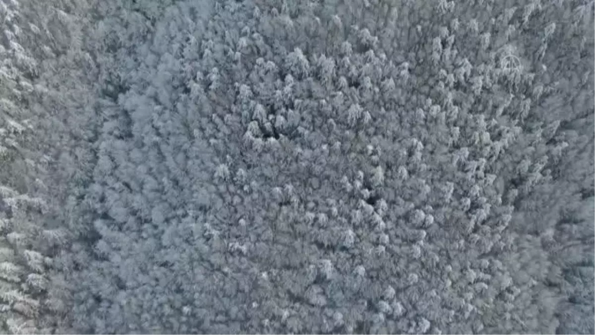 Batı Karadeniz'de kar manzarası havadan görüntülendi