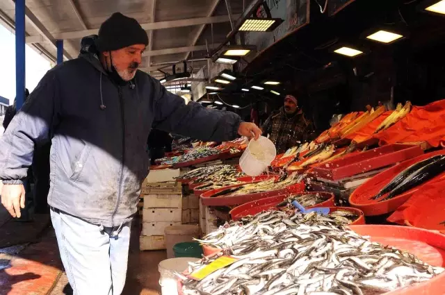 Fiyat artışları vatandaşı balığa yöneltti! İşte tezgahlardan son durum Fiyat artışları vatandaşı balığa yöneltti! İşte tezgahlardan son durum