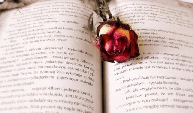 Kısa sözler, anlamlı kısa sözler nelerdir?