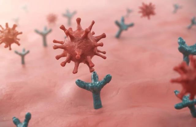 Omicron'un daha hızlı yayılıyor! Yeni alt varyant BA.2 pandeminin seyrini nasıl etkileyecek?