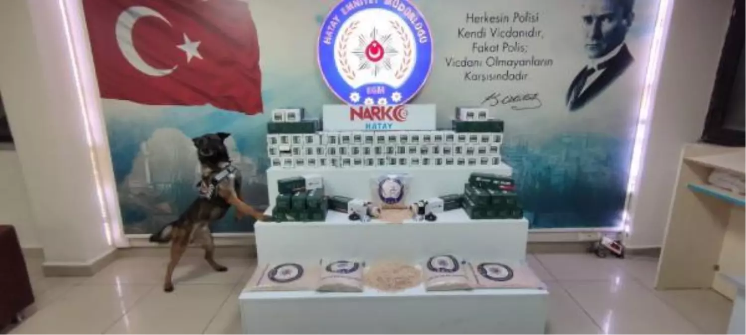 Hava filtreleri içindeki 98 bin uyuşturucu hapı narkotik köpeği 'Bozo' buldu