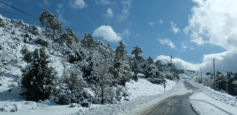 Mut'ta kar yağışı etkili oluyor