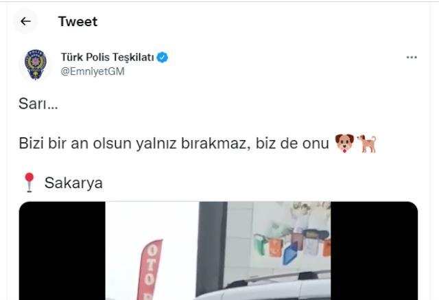 Türk Polis Teşkilatı yine yürekleri ısıttı! Sakarya'dan gelen manzarayı görenler duygulanıyor