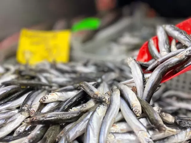 Batı Karadeniz'de karla lezzetlenen hamsi tezgahların gözdesi oldu