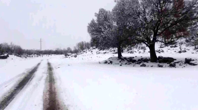 Kar yağışı Aksaraylı çiftçilerin yüzünü güldürdü! Bu yıl rekoltenin yüksek olması bekleniyor