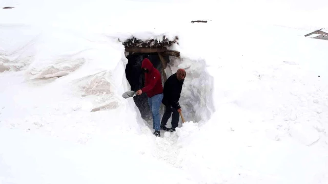 Muş'ta bir köy kara gömüldü, ulaşım için tüneller kullanılıyor