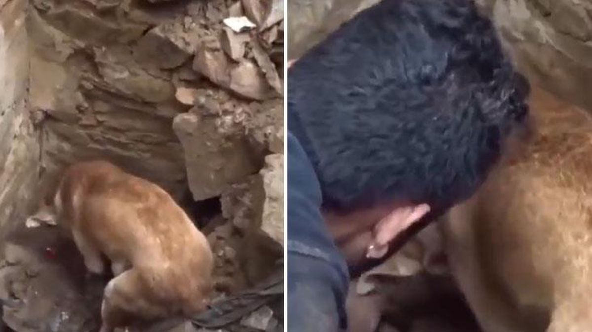 Köpeğin işaret ettiği yeri kazan ekibin karşısına çıkan manzara göz yaşarttı