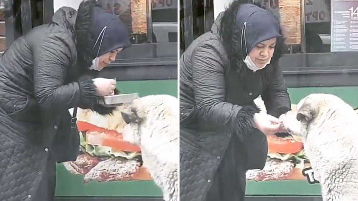 Sokaktan geçenler fark etti! Kadının, yanındaki köpek için sergilediği hareket viral oldu