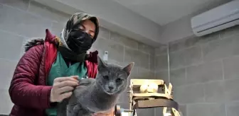 Bu merkezin Türkiye'de örneği yok