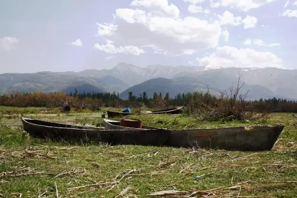Göller Yöresi'nde son 50 yılda 10 bin kilometrekare sulak alan yok oldu