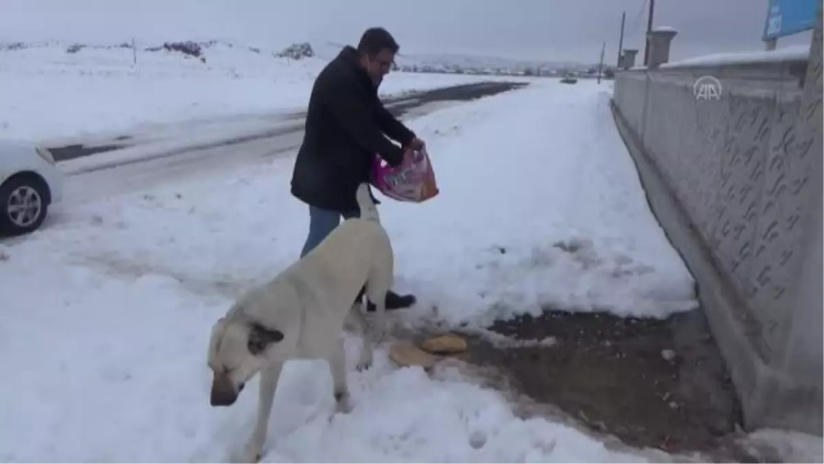 Karapınar Gençlik Merkezi Müdürlüğü faaliyetlerini sürdürüyor