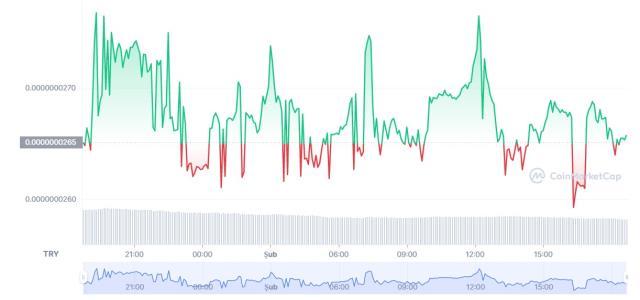 Kishu Coin (KISHU) nedir, nasıl alınır? Kishu Inu güncel yorum ve grafiği! Kishu Inu ne kadar, kaç TL? Kishu Inu fiyat ve geleceği hakkında bilgiler!