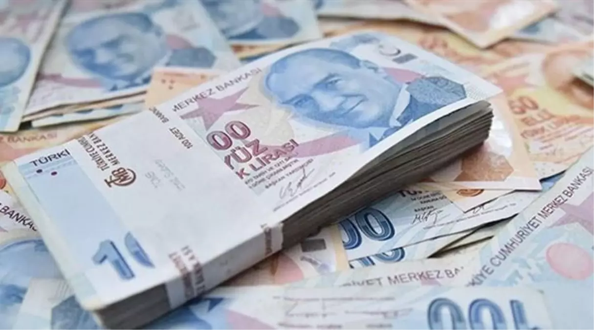 Son Dakika: TL'ye dönüşüm hesaplarında faiz oranını belirleme yetkisi Merkez Bankası'na verildi