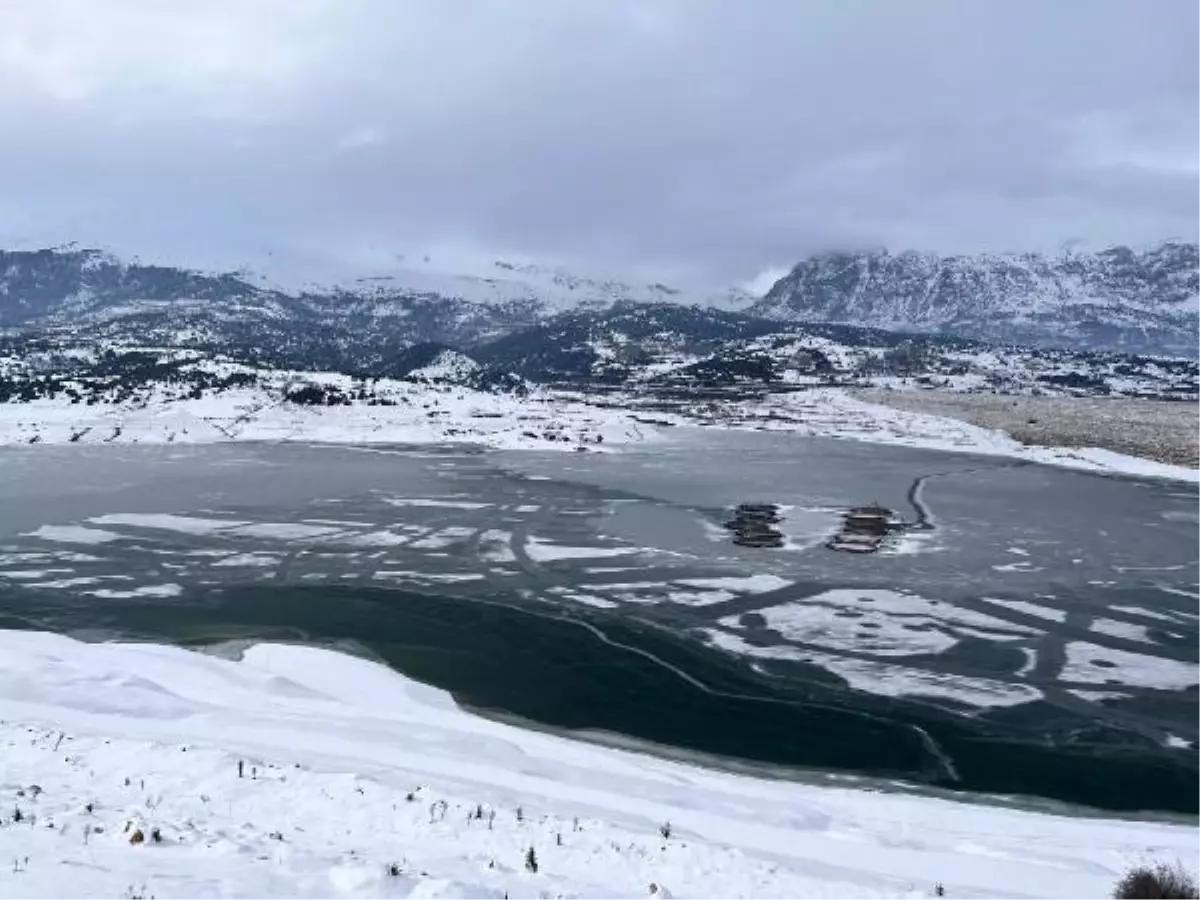 Çayboğazı Barajı dondu, buz kırılarak balıklar yemlendi