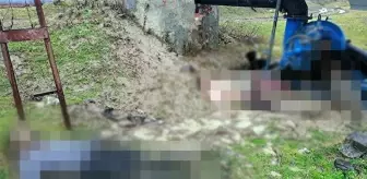 BM: Yunanistan sınırında geri itilen 12 düzensiz göçmenin donarak ölmesinden dehşete düştük