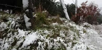Fotoğraf bugün İstanbul'da çekildi! Aydos Ormanı ve çevresi beyaz örtüyle kaplandı