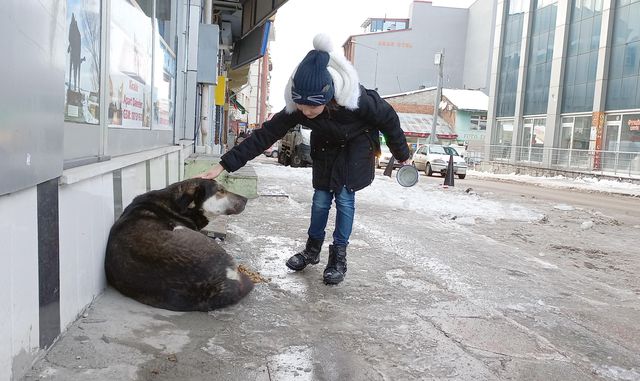 Sokakları dolaşan çocuklar can dostlar ı besledi