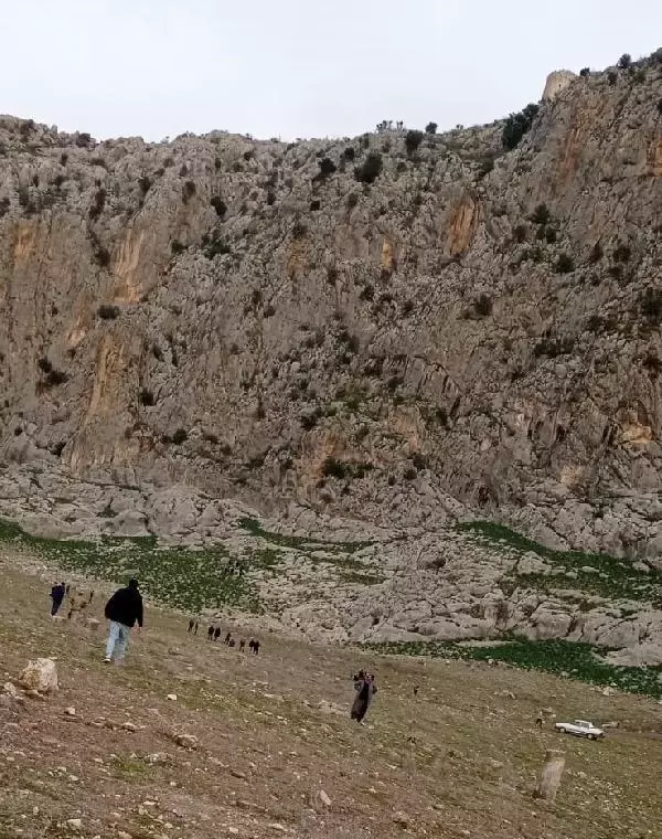 Çobanın tüyler ürperten sonu! Koyunları kurtarmak isterken acı içinde can verdi