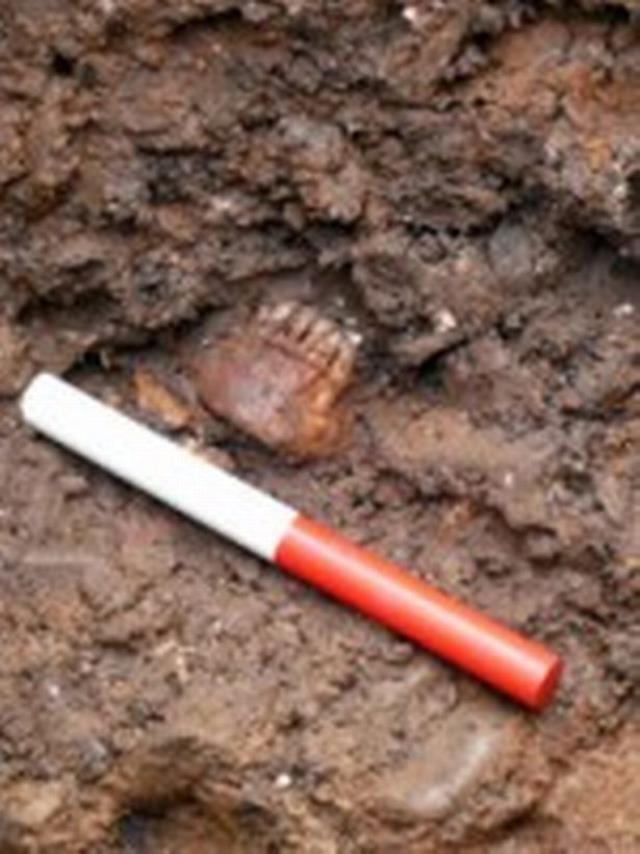 Şehrin tıkanan borularını tamir etmek için kazı yapan işçiler, korkunç gerçeği ortaya çıkardı! Her yerden kemik fışkırdı