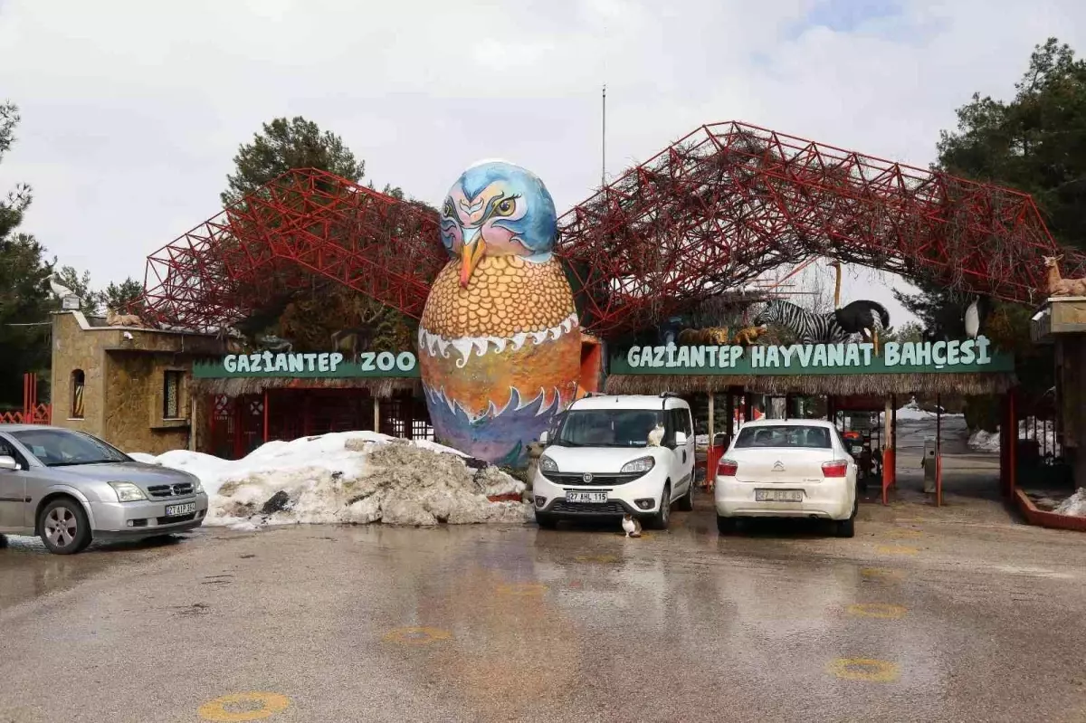 2021'de Gaziantep Hayvanat Bahçesini 2 milyon 750 bin kişi ziyaret etti