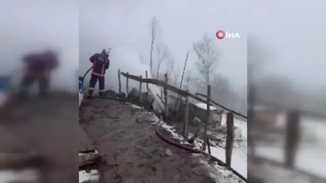 Son dakika haberi: Ordu'da yangın: 2 çocuk hayatını kaybetti