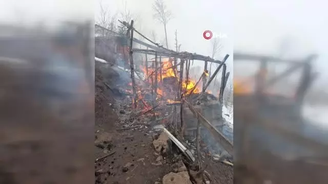 Son dakika haberi: Ordu'da yangın: 2 çocuk hayatını kaybetti