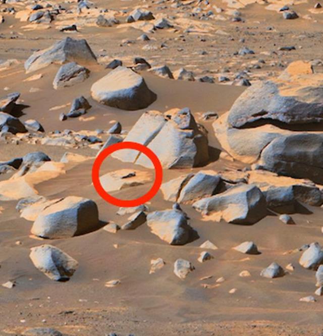 Uzman isim Mars'ta akıllı yaşamın yüzde yüz ispatı diyerek paylaştı! Görenler inanamadı