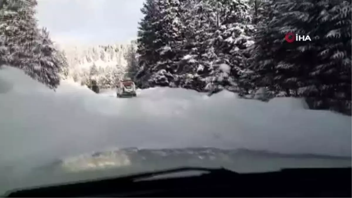 Bir metrelik 'karda hayat kurtarma mücadelesi