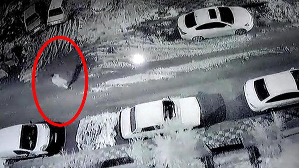 Eve giderken kendisini bir anda çukurda bulan vatandaşın düştüğü anlar kameralarda